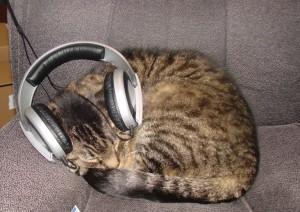1-Kittywithmyheadphones